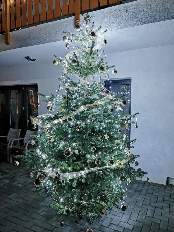 Floare De Colt Sapanta Otel Dış mekan fotoğraf